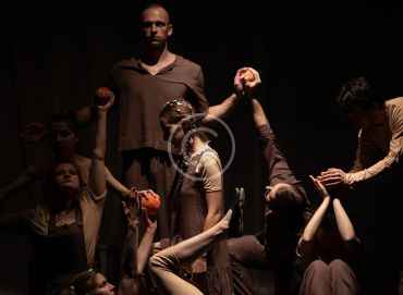 Visceral stage: Motion and metaphor