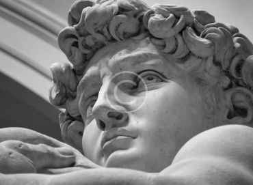 The gaze of marble: A sculpture salon